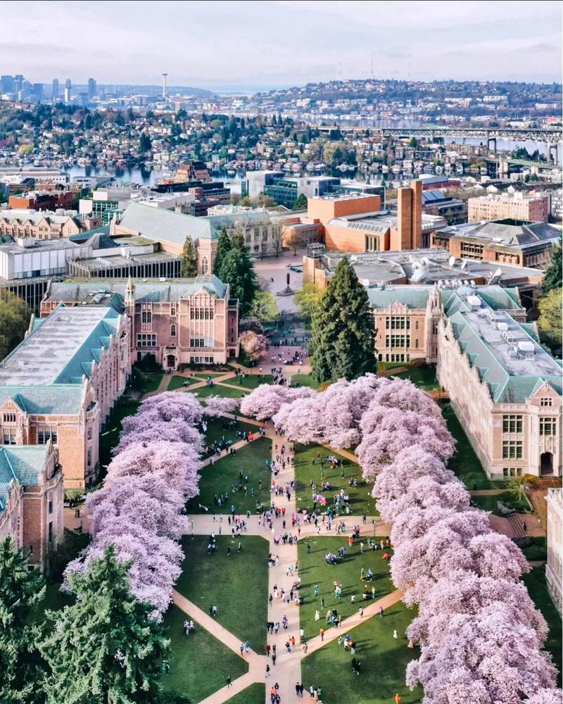 佛罗里达州立大学